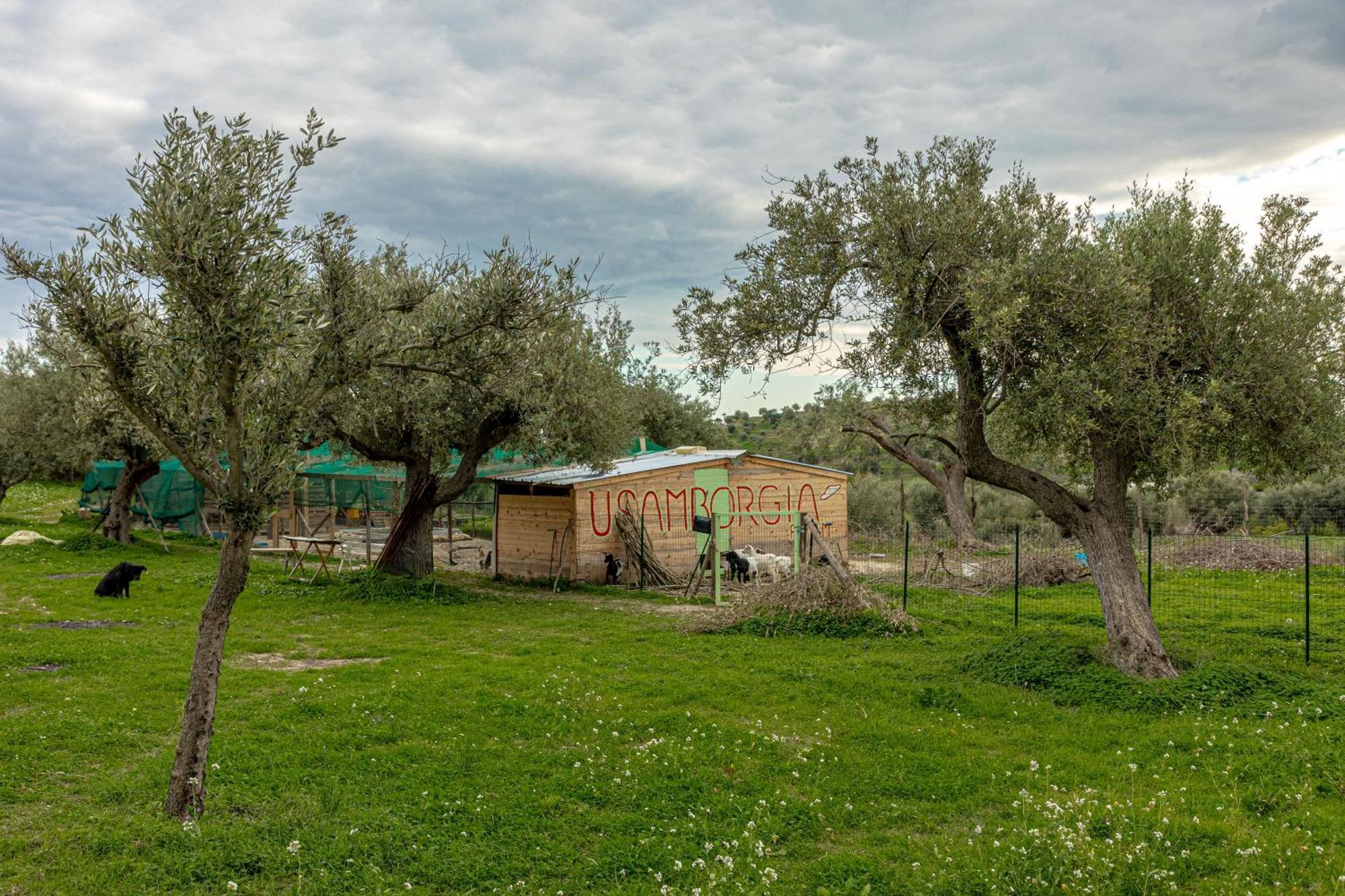 诺托 Masseria Usamborgia旅馆 外观 照片